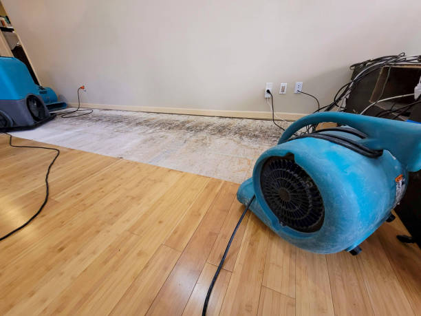 Professional Structural Drying technician working in Etters, PA